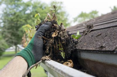 Business Gutter Cleaning in Mcdonough, GA